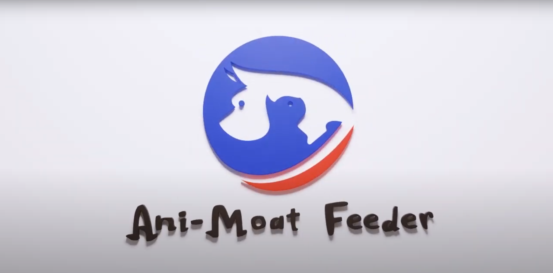 Vet Recommended Pet Bowls: Expert Advice for Your Pet’s Health and Comfort